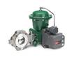 FISHER CONTROL-DİSK VANA