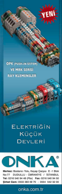 Elektriğin Küçük Devleri