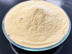 ULTEM™ Reaktif Oligomeri