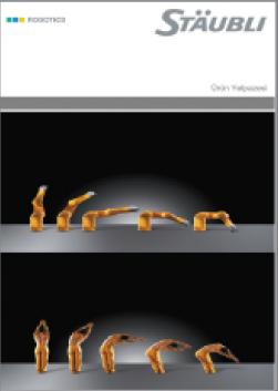 Robot denince Staubli